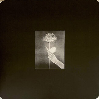White Flowers - Day By Day LP Blue Vinyl