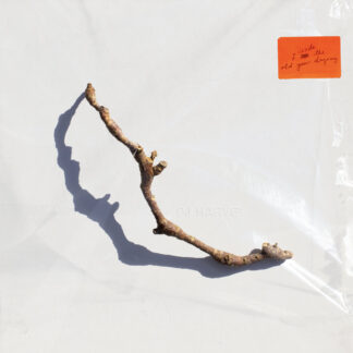 PJ Harvey ‎– I Inside the Old Year Dying LP