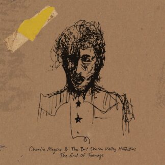 Charlie Megira & The Bet She'an Valley Hillbillies ‎– The End Of Teenage 2xLP Banana Color Vinyl