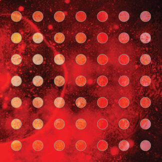 Cave In - Creative Eclipses 12" Blood Red Vinyl